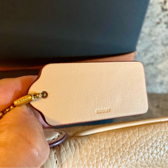 Disney X Coach Kitt Messenger Crossbody With Minnie Mouse Disney 100 Garden NWT - Picture 6 of 9